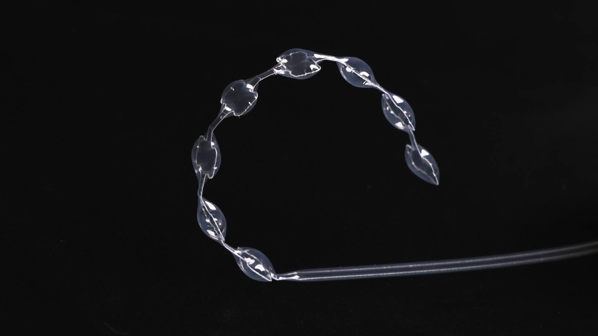 Single Bulging Wave Line 2